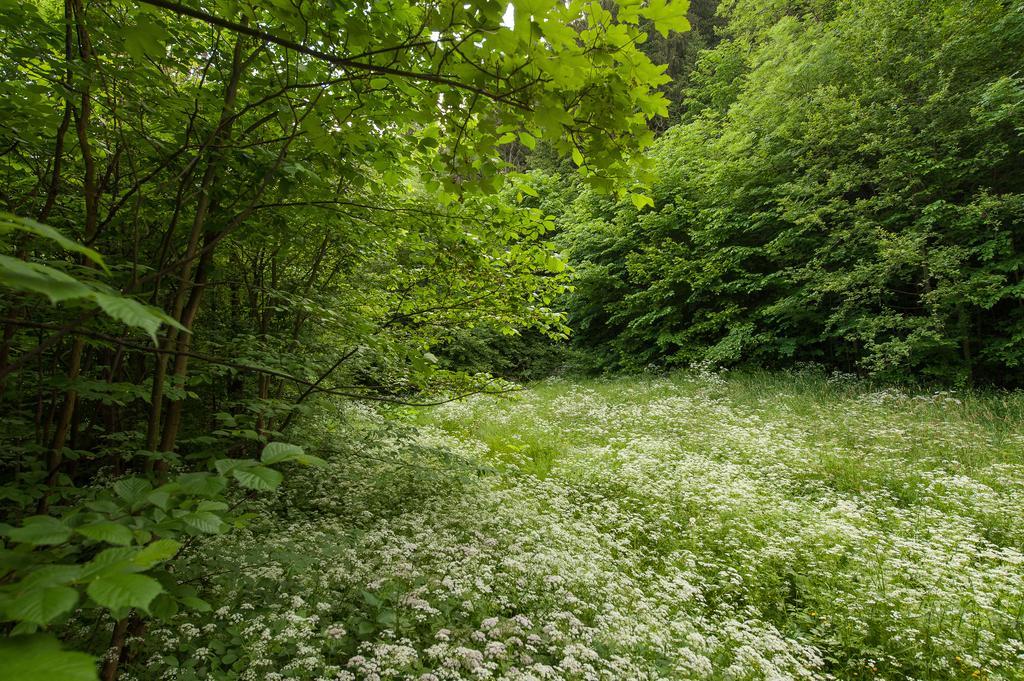 Zacisze Закопане
